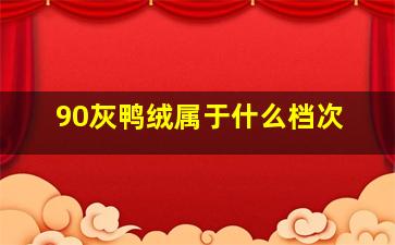 90灰鸭绒属于什么档次