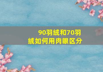 90羽绒和70羽绒如何用肉眼区分