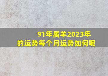 91年属羊2023年的运势每个月运势如何呢