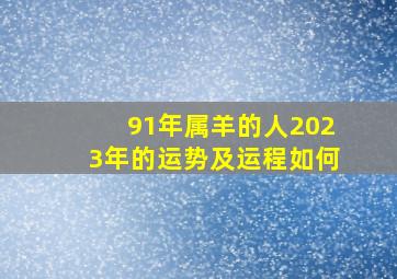 91年属羊的人2023年的运势及运程如何