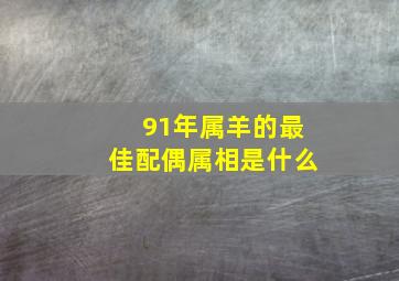 91年属羊的最佳配偶属相是什么