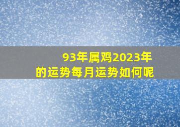 93年属鸡2023年的运势每月运势如何呢