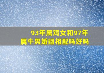 93年属鸡女和97年属牛男婚姻相配吗好吗