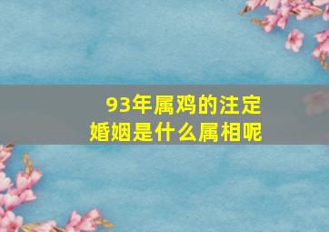 93年属鸡的注定婚姻是什么属相呢