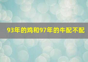 93年的鸡和97年的牛配不配