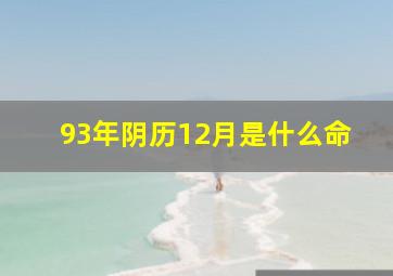 93年阴历12月是什么命