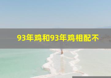 93年鸡和93年鸡相配不