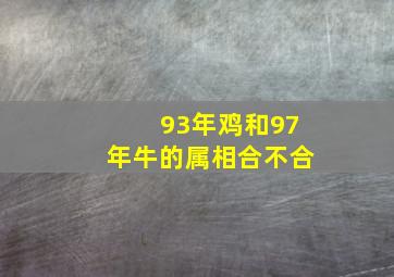 93年鸡和97年牛的属相合不合