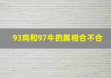 93鸡和97牛的属相合不合