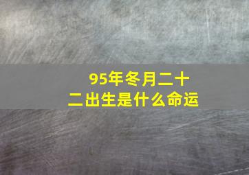 95年冬月二十二出生是什么命运