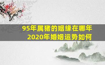 95年属猪的姻缘在哪年2020年婚姻运势如何