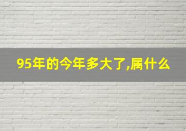 95年的今年多大了,属什么