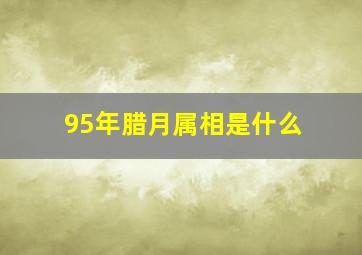 95年腊月属相是什么