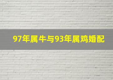 97年属牛与93年属鸡婚配