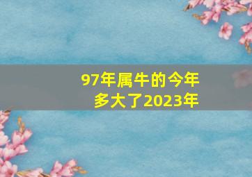 97年属牛的今年多大了2023年