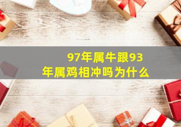 97年属牛跟93年属鸡相冲吗为什么