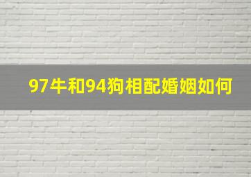 97牛和94狗相配婚姻如何