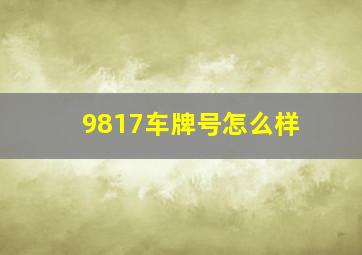 9817车牌号怎么样