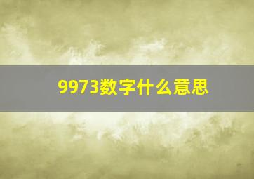 9973数字什么意思