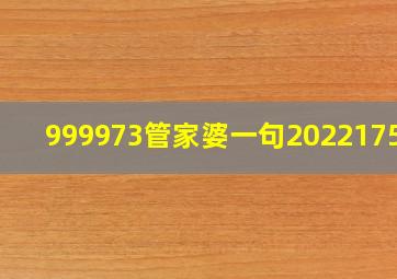 999973管家婆一句2022175期