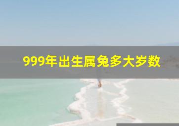 999年出生属兔多大岁数