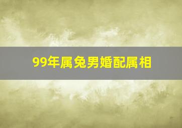 99年属兔男婚配属相