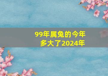 99年属兔的今年多大了2024年