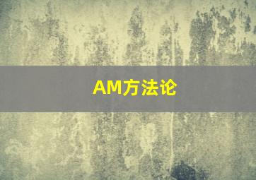 AM方法论