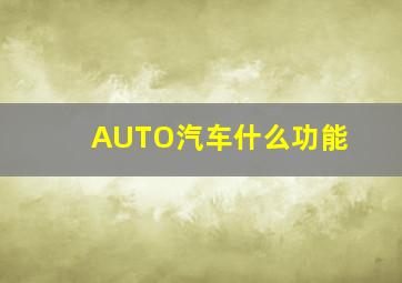 AUTO汽车什么功能