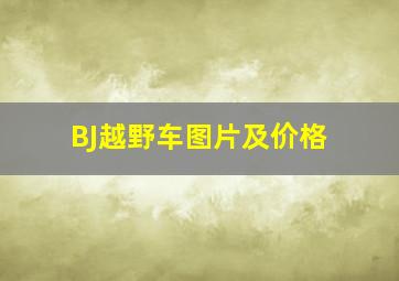 BJ越野车图片及价格