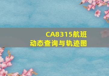 CA8315航班动态查询与轨迹图