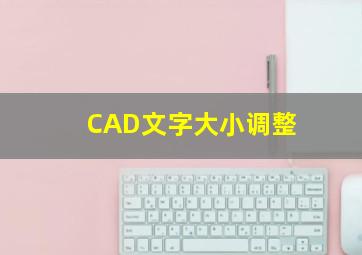 CAD文字大小调整