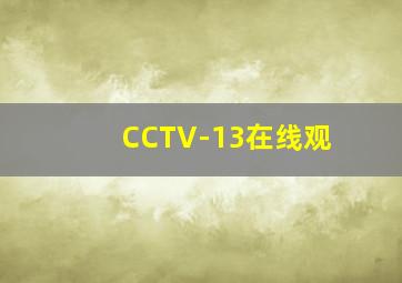 CCTV-13在线观