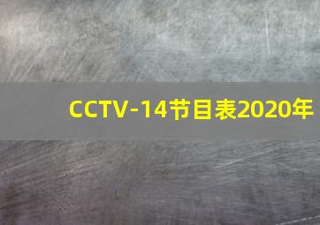 CCTV-14节目表2020年