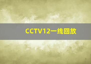 CCTV12一线回放