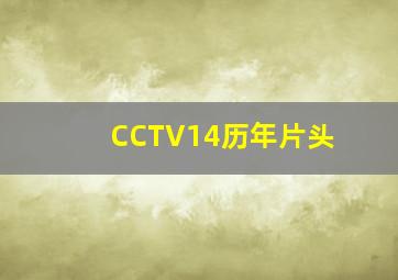 CCTV14历年片头