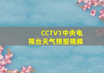 CCTV1中央电视台天气预报视频