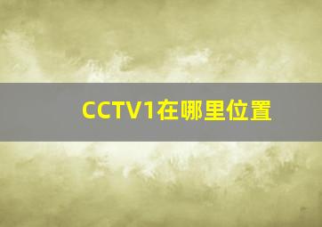 CCTV1在哪里位置