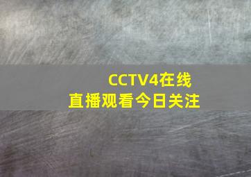 CCTV4在线直播观看今日关注