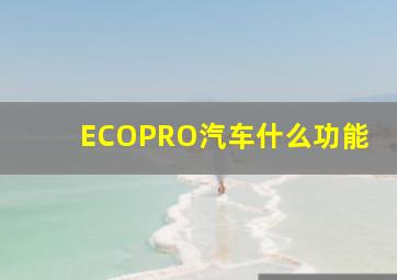 ECOPRO汽车什么功能