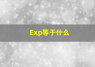 Exp等于什么