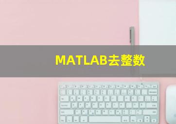 MATLAB去整数