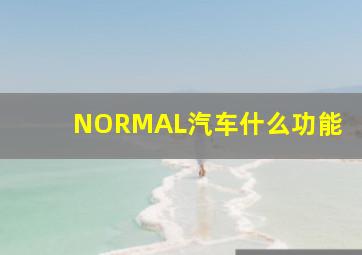 NORMAL汽车什么功能