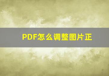 PDF怎么调整图片正