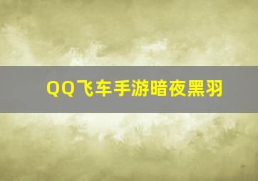 QQ飞车手游暗夜黑羽