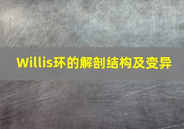 Willis环的解剖结构及变异