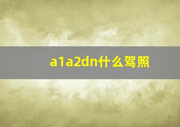 a1a2dn什么驾照