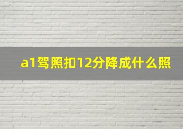 a1驾照扣12分降成什么照