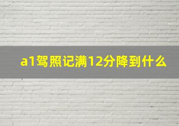 a1驾照记满12分降到什么