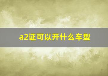 a2证可以开什么车型